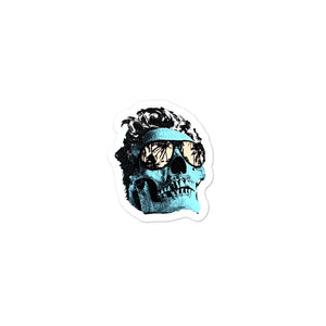 Blue Skull Custom Vinyl Sticker Decals