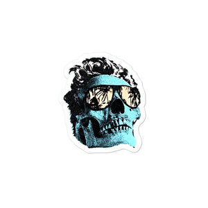Blue Skull Custom Vinyl Sticker Decals